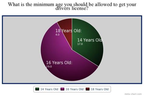 Students decide what minimum age for driving is appropriate.