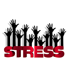 End of Term Brings Stress for Students