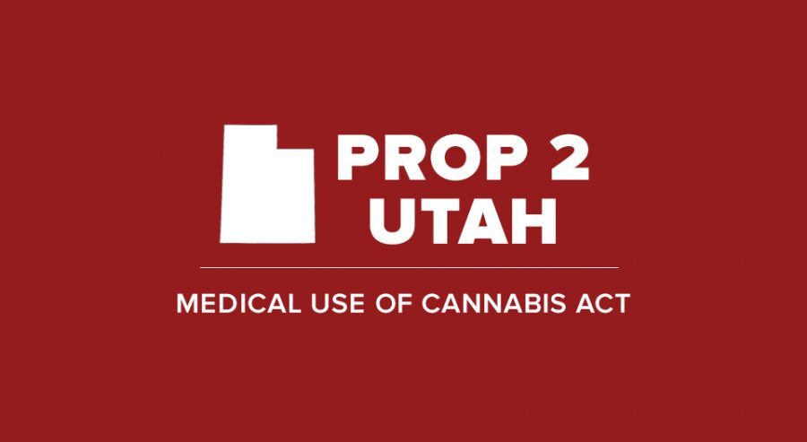 Proposition Two: The medical THC debate