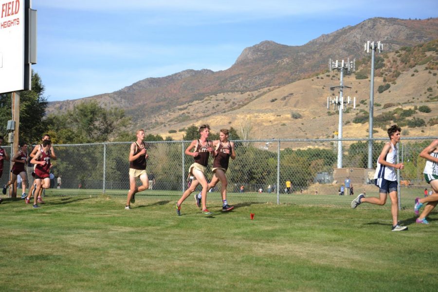 Davis Cross Country sweeps Region to become Repeat Region Champs