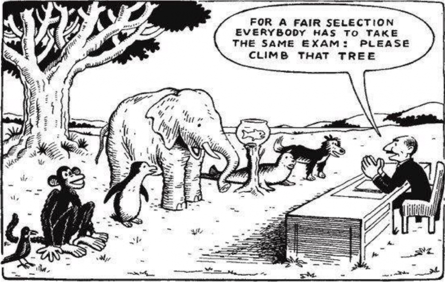The Flaws in our Education System