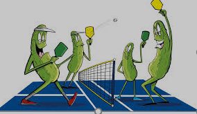 Nation's new sport... Pickle ball