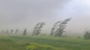 Wind storm wrecks havoc