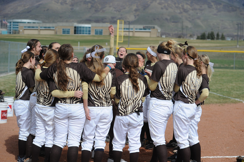 Darts Softball