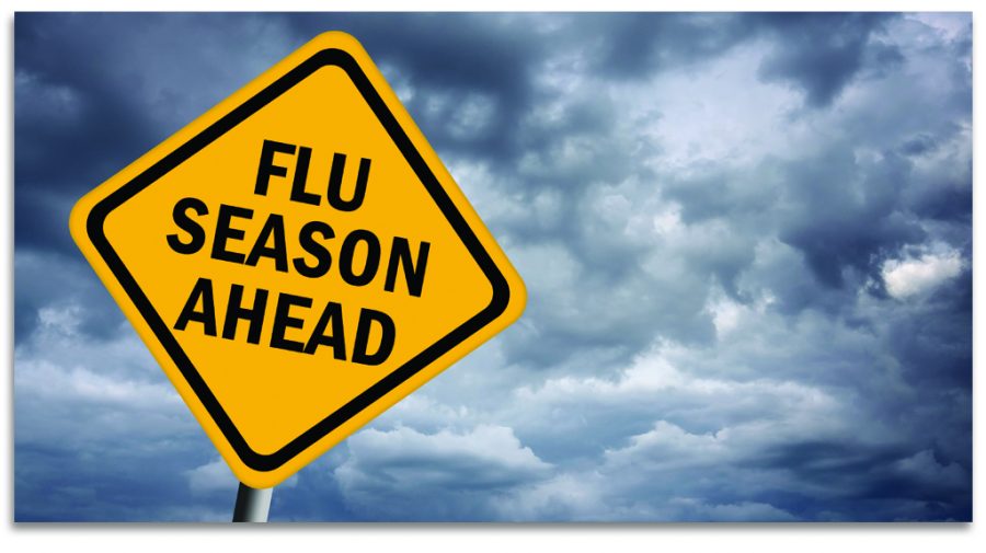 Fighting the flu: Tips to staying healthy during the flu season