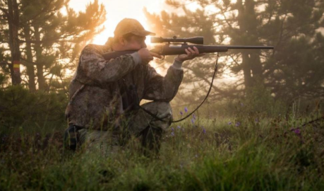 https://www.tvo.org/article/why-one-small-ontario-town-is-pushing-back-against-hunting-on-sundays