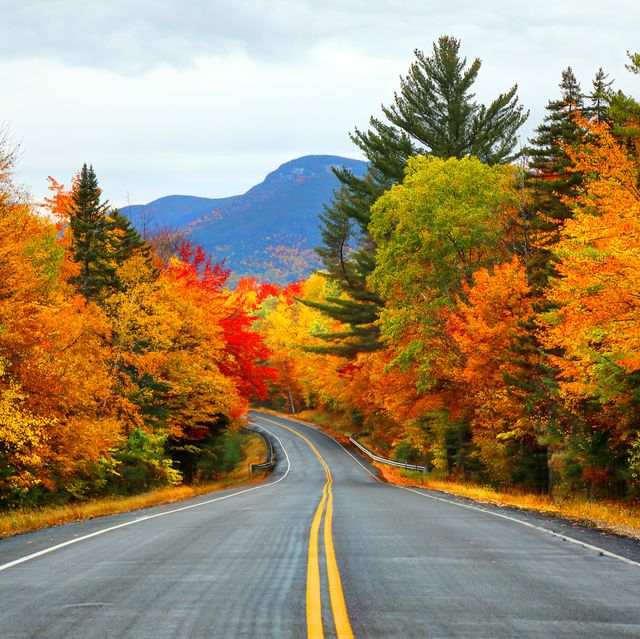 Keep calm, it's almost Fall Break!