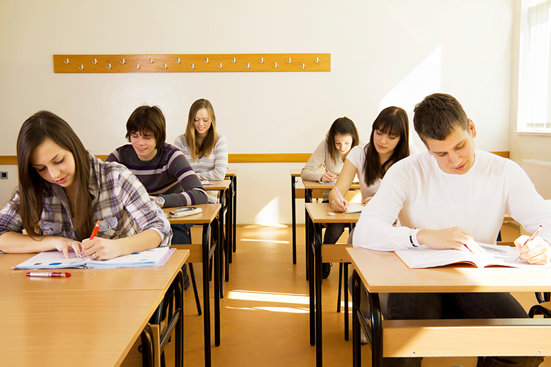 Group of high-school students in a classroom, during lesson.