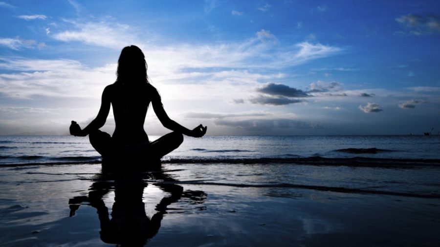 Mindfulness and Meditation to Save our Fevered Minds