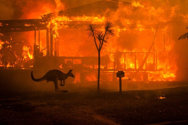 The Raging Fires in Australia