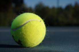 Sports spotlight: Davis High's boys tennis team