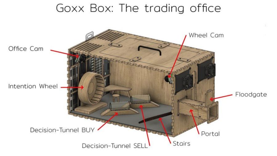 Crypto trading hamster out-performs Warren Buffett and the S&P 500