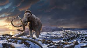 Ice Age Begins: Utah Mammoth Unveile