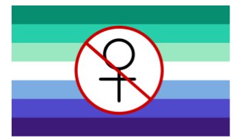 Misogyny In Fandoms of Men-Loving-Men Media
