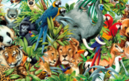 Animal Encounters I Will Always Remember